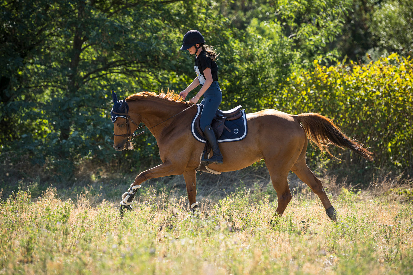 sotto sella cavallo equitazione equestrian philosophy