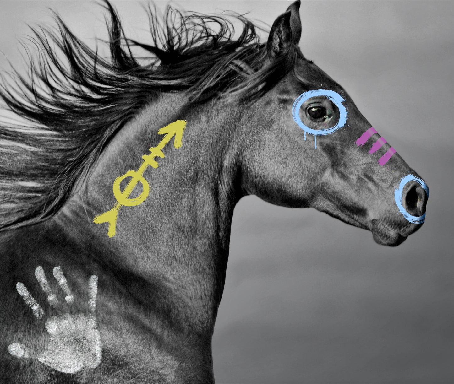 GIFT CARD EQUESTRIAN PHILOSOPHY